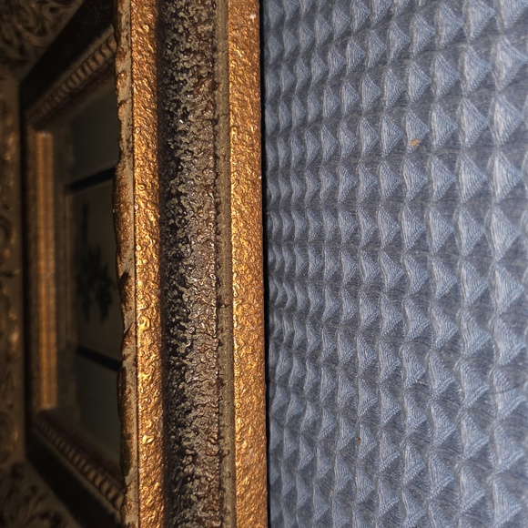 Elegant Gold Framed Botanical Art - Picture 4 of 4